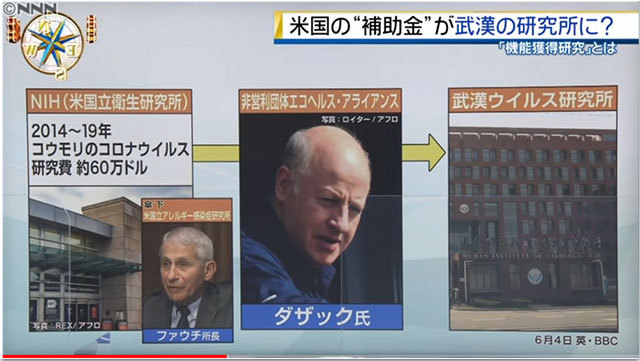 コロナデータ