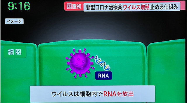 コロナデータ