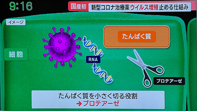 コロナデータ