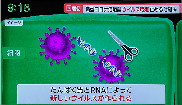 コロナデータ