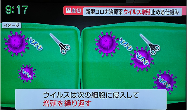 コロナデータ