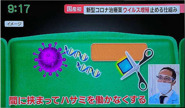 コロナデータ