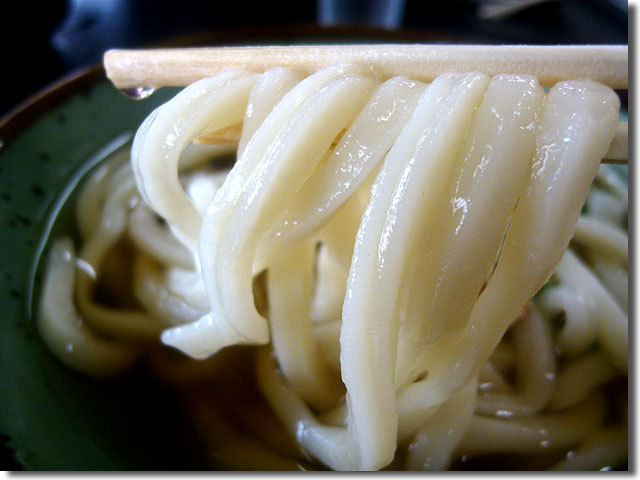 うどん虎龍