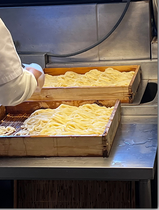 初詣 de 灸まんうどん