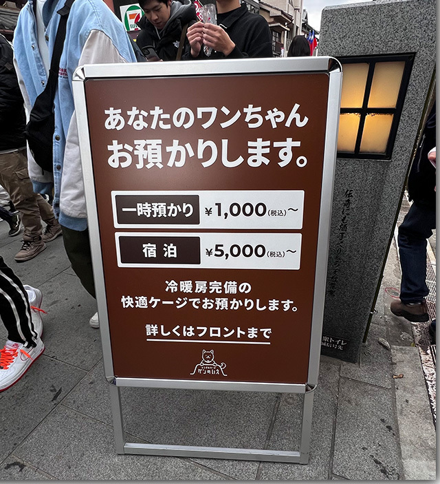 金比羅さんへ初詣