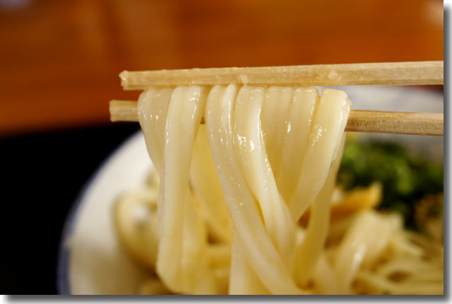 わたしの街の℃美人を発見!!@馬渕うどん