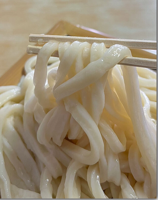 誠うどん