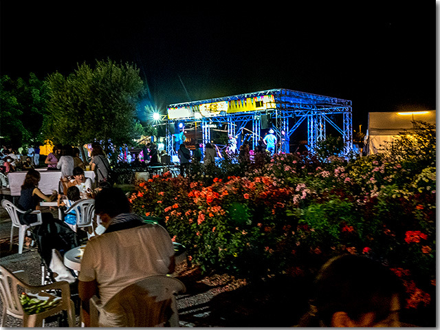 真夏の夜の夢 2018始まりました!