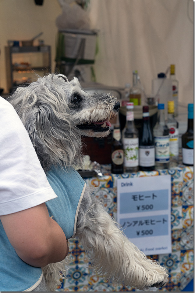 真夏の夜の夢 サンポート高松 2019