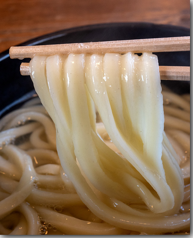 まるやうどん二代目