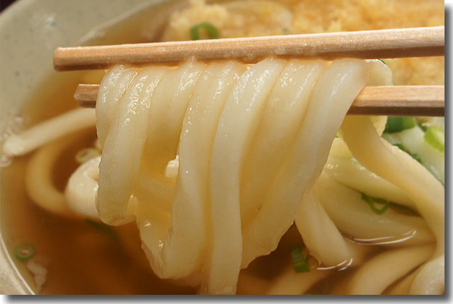 枡うどん
