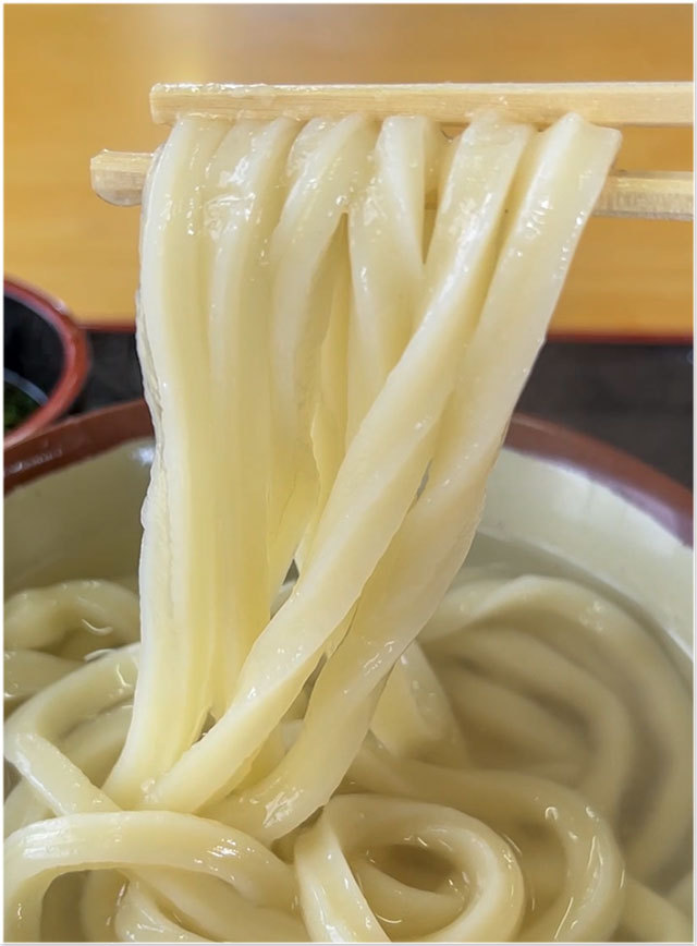 釜揚げうどん@ますや