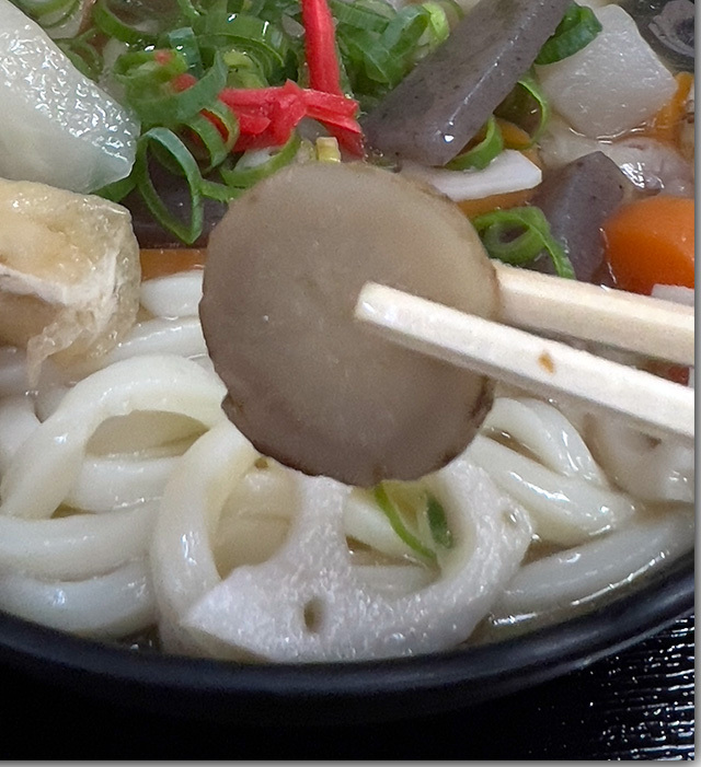 冷やし野菜うどん@うどん市場めんくい