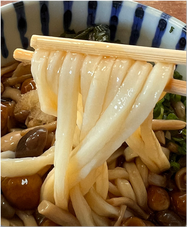 きのこうどん 讃州めんめ