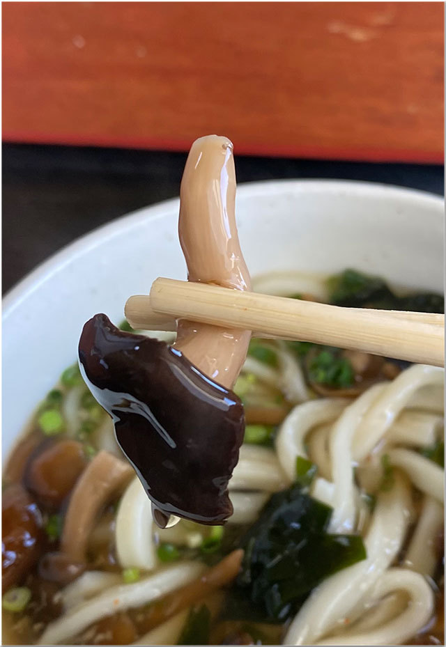 きのこうどん@讃州めんめ