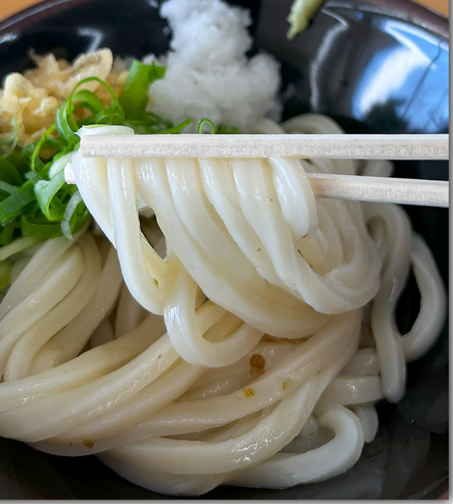 青とうしょうゆうどん めん舟