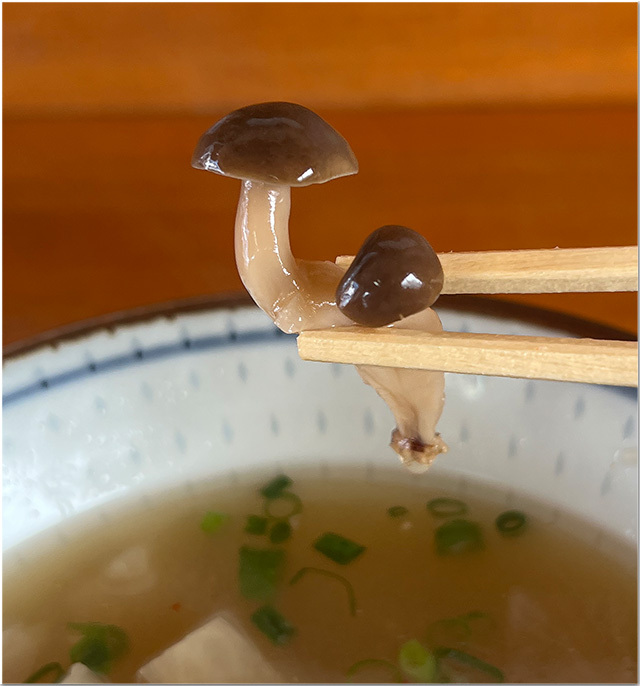 しっぽくうどん 村上製麺所