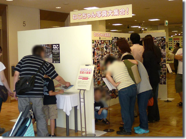 三越高松店 ねこ 岩合光昭写真展