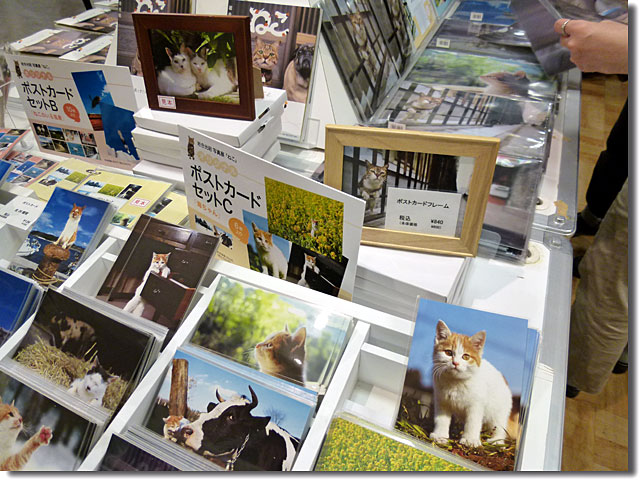 三越高松店 ねこ 岩合光昭写真展