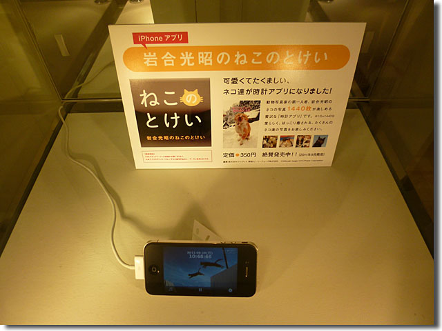三越高松店 ねこ 岩合光昭写真展