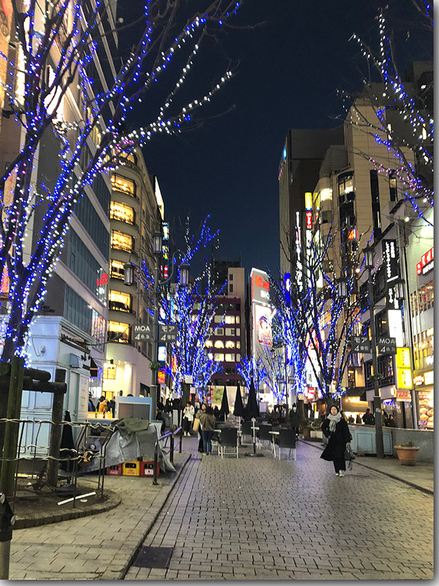 すごい煮干ラーメン凪 新宿ゴールデン街店 本館