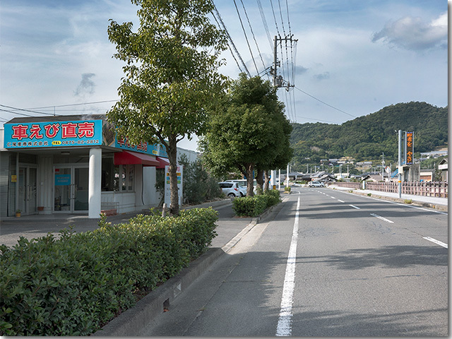 目印の車海老直販所