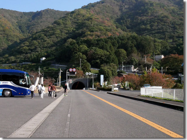 レモン農家ロロロッサ