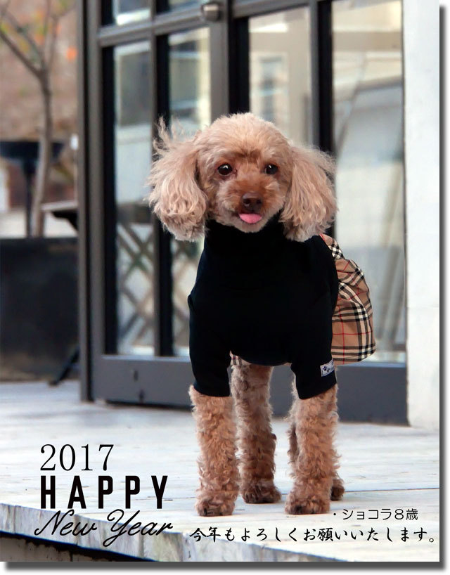 2017年元旦