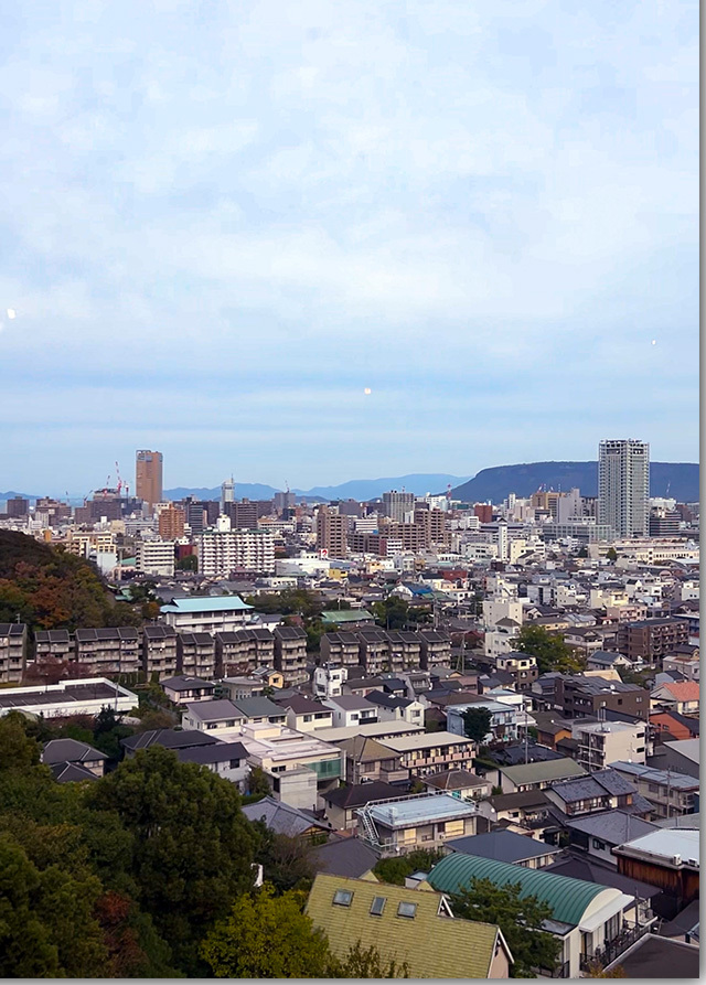 お奨めです 栗林山荘のしっぽくうどん