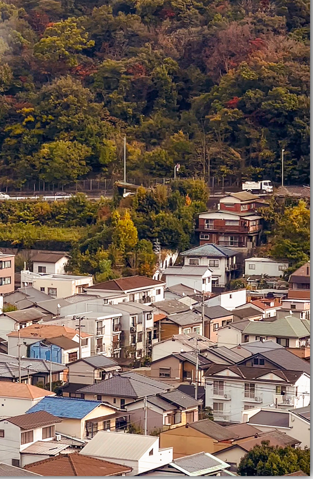 お奨めです 栗林山荘のしっぽくうどん