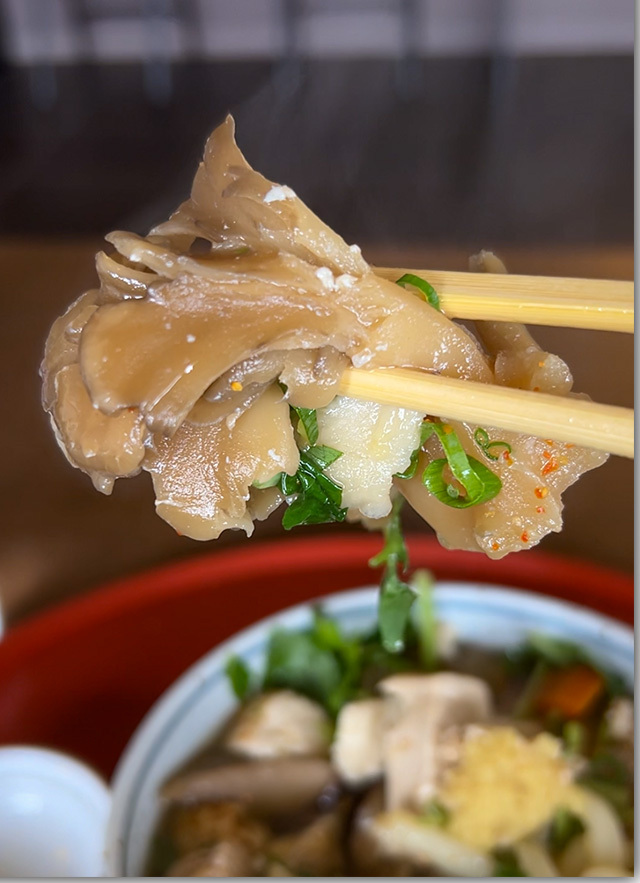 お奨めです 栗林山荘のしっぽくうどん