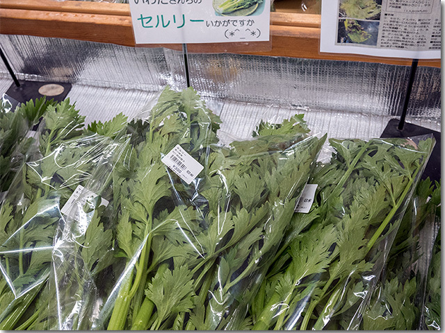 良心市高瀬
