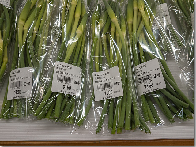 良心市高瀬