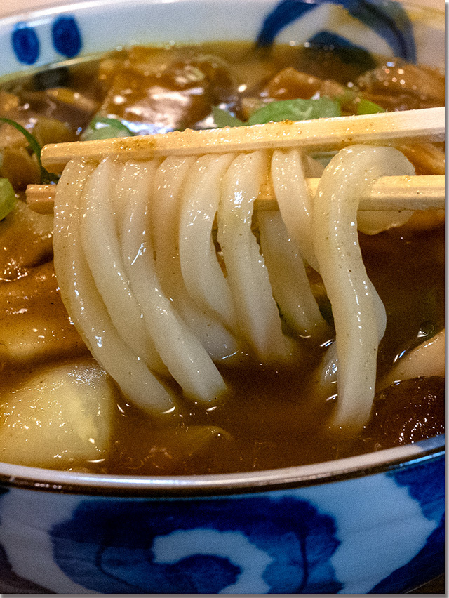 スープカレーうどん@さぬ一