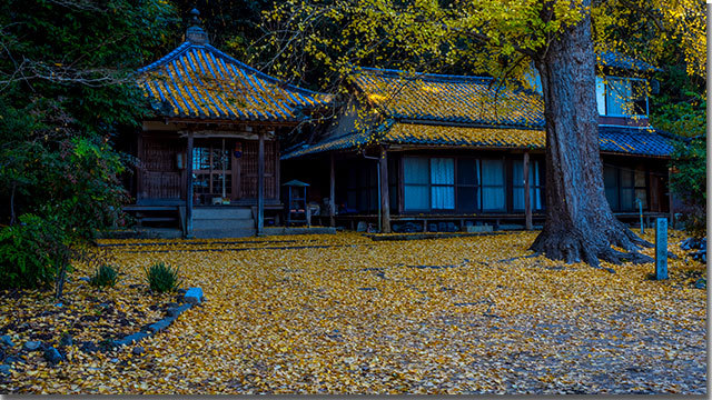 薬師院