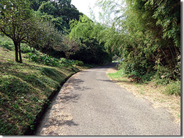 西香川病院へ続く道
