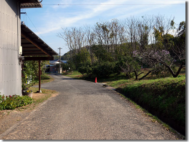 里山パン