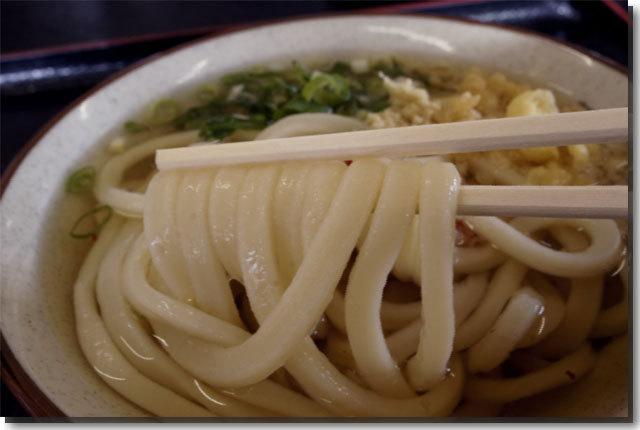 うどん麺処 千ちゃん