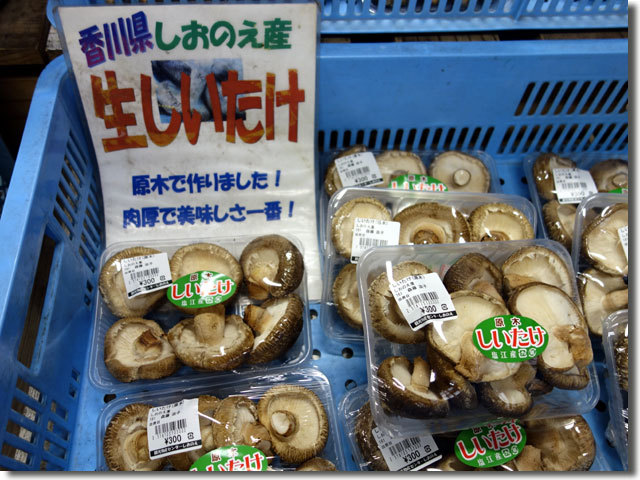 道の駅しおのえ