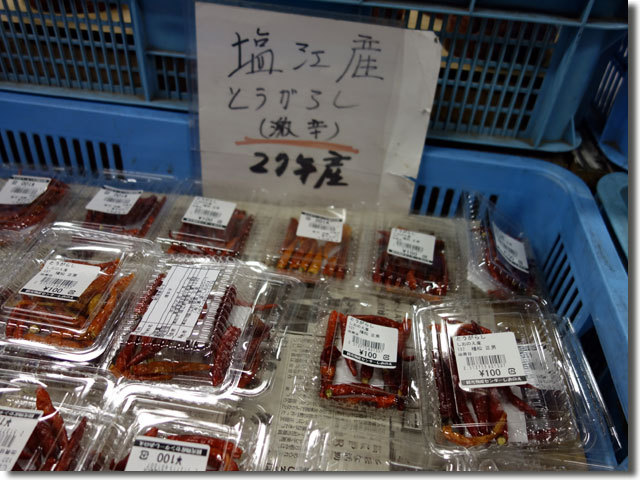 道の駅しおのえ