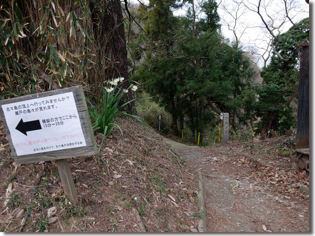 大人の休日@志々島
