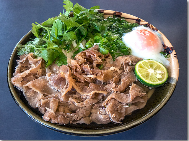 ベトナム風肉うどん@七福 別邸