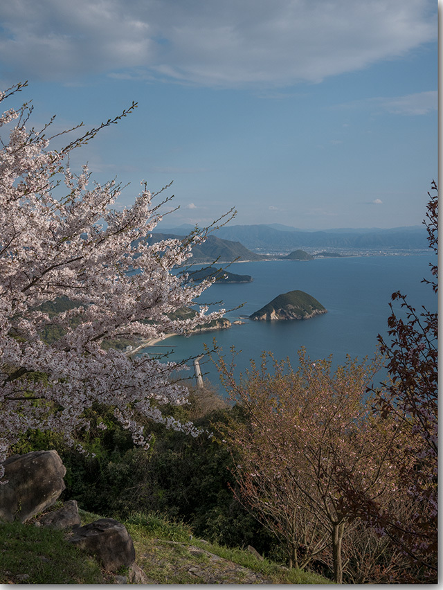 紫雲出山