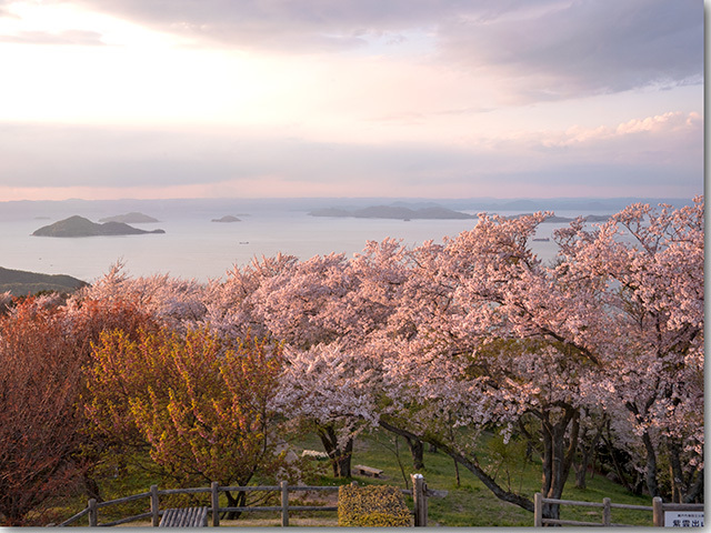 紫雲出山