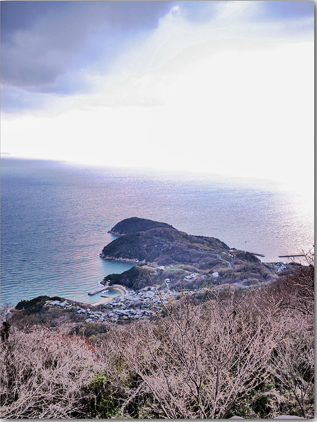 紫雲出山の桜