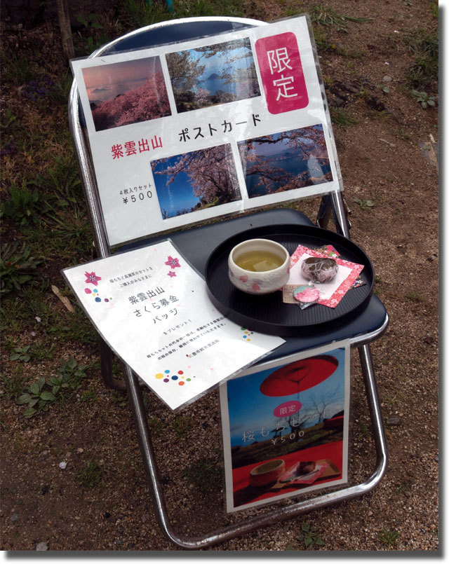 紫雲出山の桜