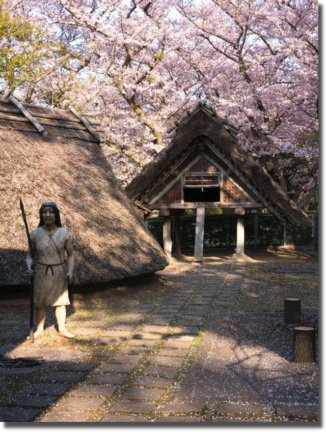 紫雲出山