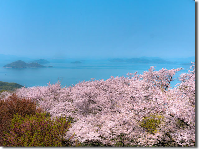 紫雲出山