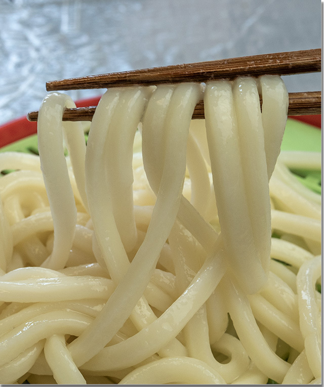 将八 生うどん