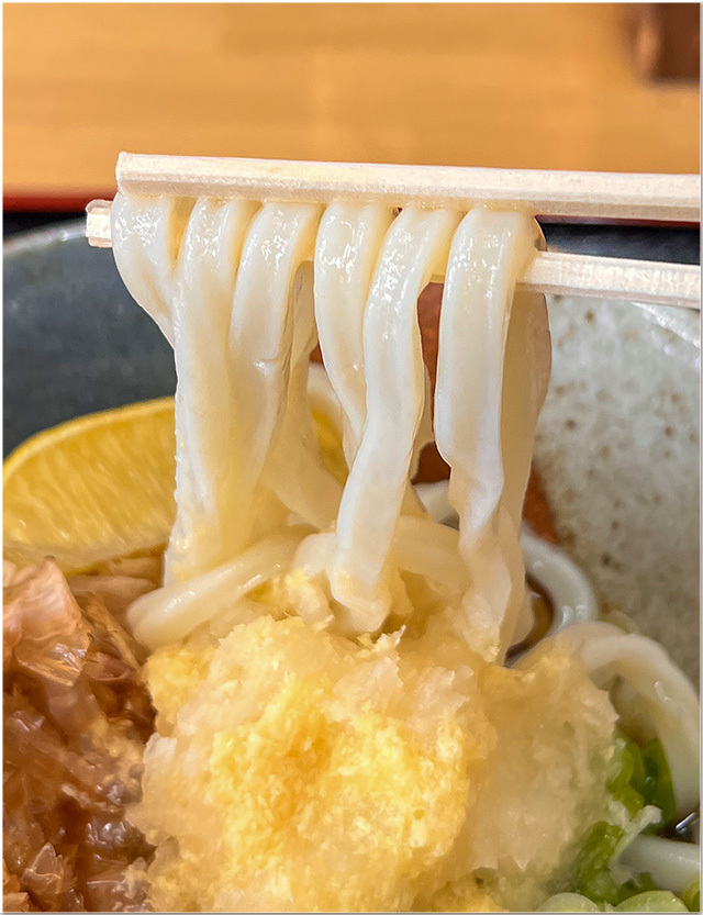 竹田うどん
